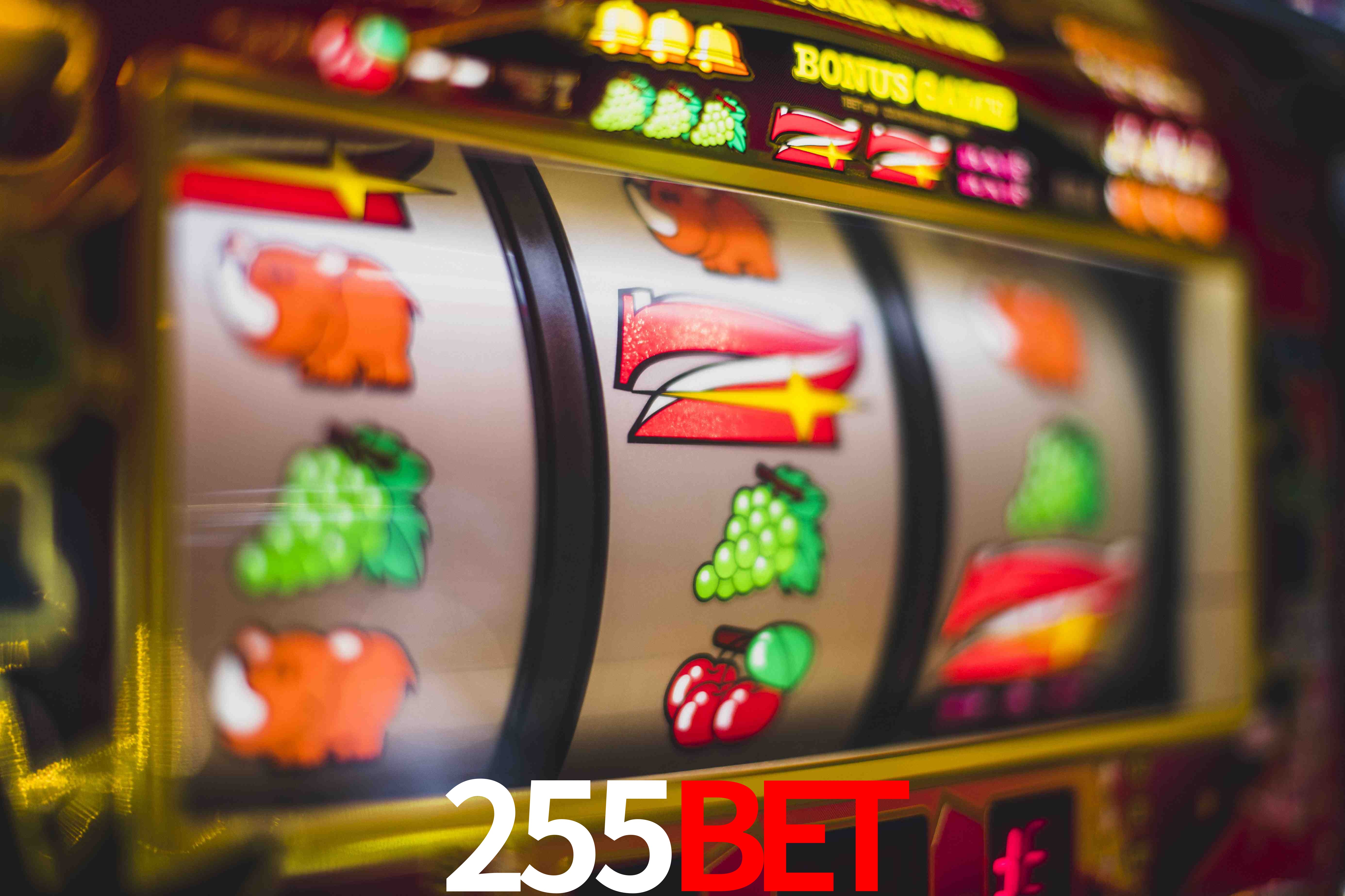 Crash Games Strategies 255bet